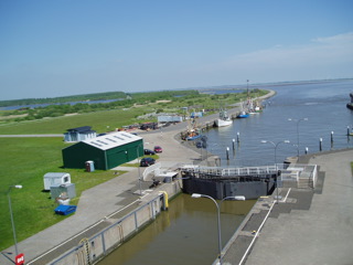 Loading Image