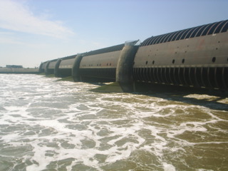 Loading Image
