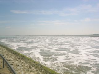 Loading Image