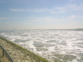 PIC_0037.JPG