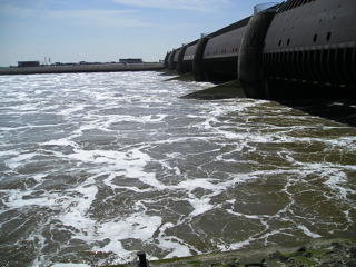 Loading Image