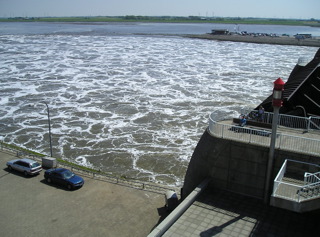 Loading Image