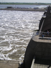 Loading Image