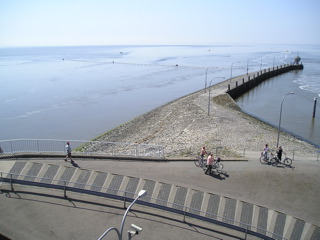 Loading Image