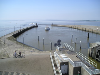 Loading Image