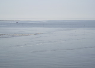 Loading Image