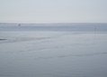 05.05 029.jpg