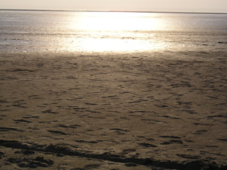 Loading Image