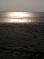 05.05 039.jpg